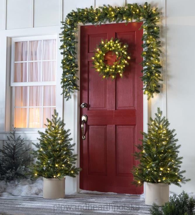 Plow & Hearth Świąteczny zestaw do dekoracji werandy w pudełku z oświetloną jodłą grandis 02XR61491 artykuły gospodarstwa domowego