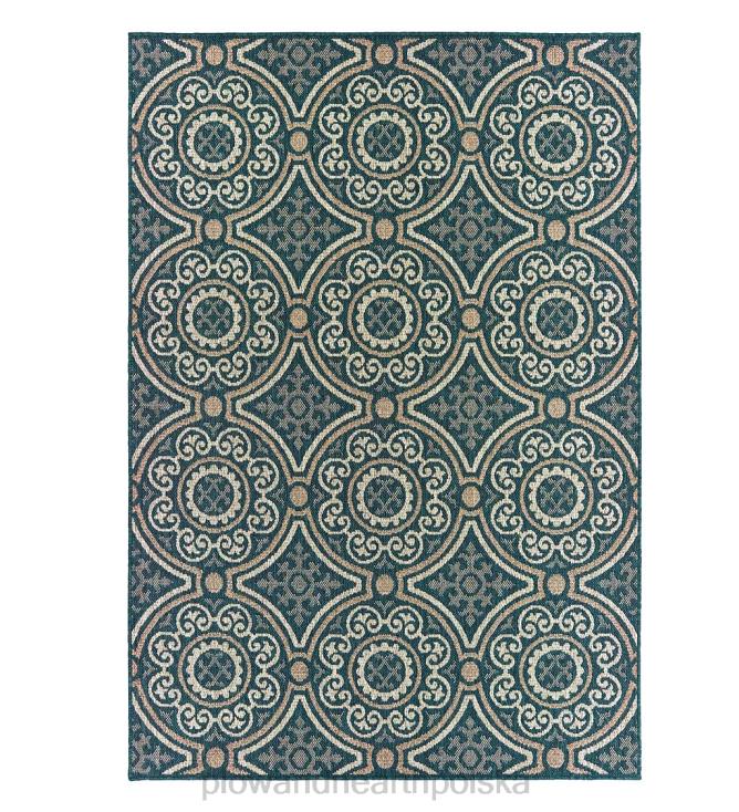 Plow & Hearth Dywan Cambridge Circles do użytku wewnątrz/na zewnątrz 02XR61394 artykuły gospodarstwa domowego