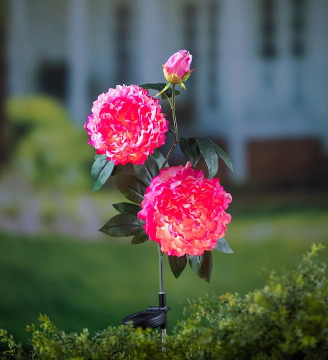Plow & Hearth Ciemnoróżowa piwonia słoneczna palika ogrodowa 02XR6153 podwórko i ogród