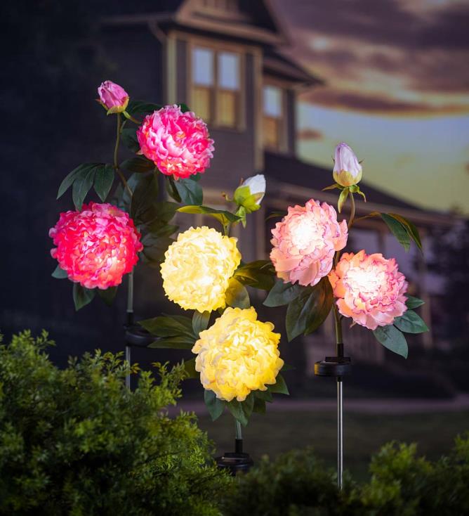 Plow & Hearth Ciemnoróżowa piwonia słoneczna palika ogrodowa 02XR6153 podwórko i ogród