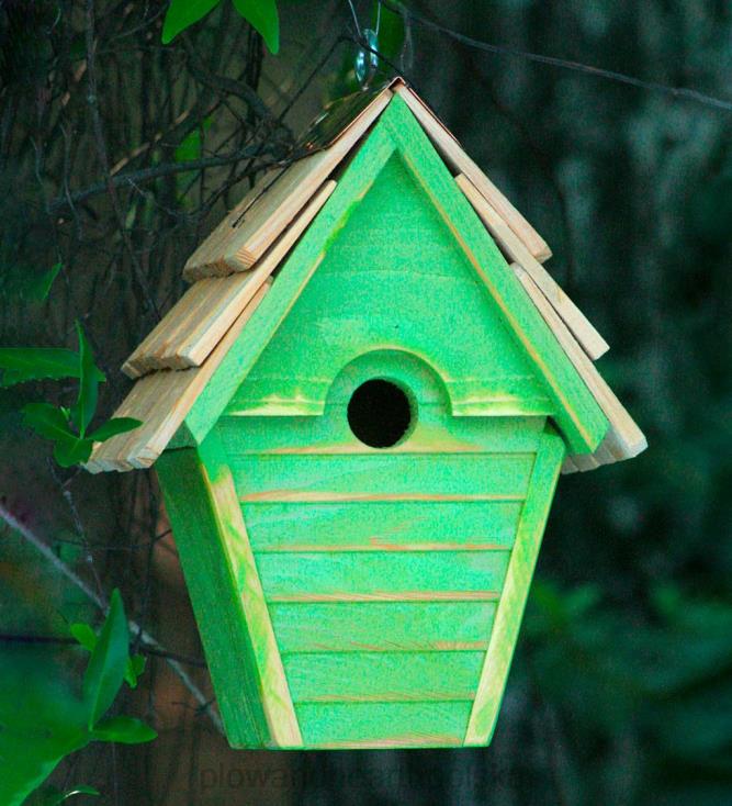 Plow & Hearth domek dla ptaków strzyżyka ćwierkającego - niebieska skorupka jajka 02XR6862 podwórko i ogród