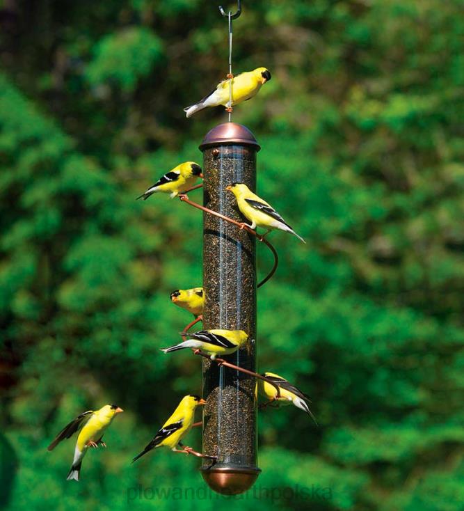 Plow & Hearth karmnik dla ptaków spiralno-okoniowy w kolorze miedzianym - miedź 02XR6758 podwórko i ogród