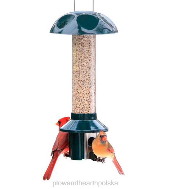 Plow & Hearth pestoff, mieszanka nasion słonecznika, odporna na szkodniki, karmnik dla ptaków 02XR6743 podwórko i ogród