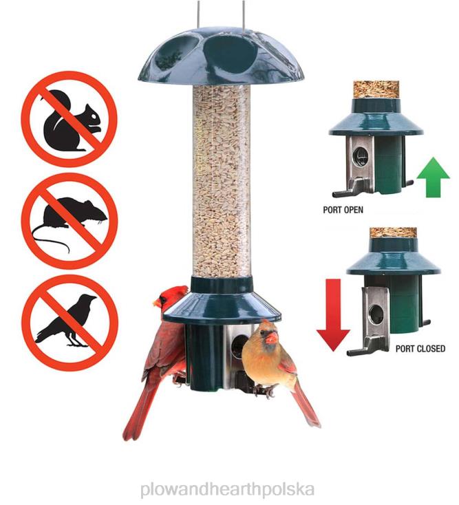 Plow & Hearth pestoff, mieszanka nasion słonecznika, odporna na szkodniki, karmnik dla ptaków 02XR6743 podwórko i ogród