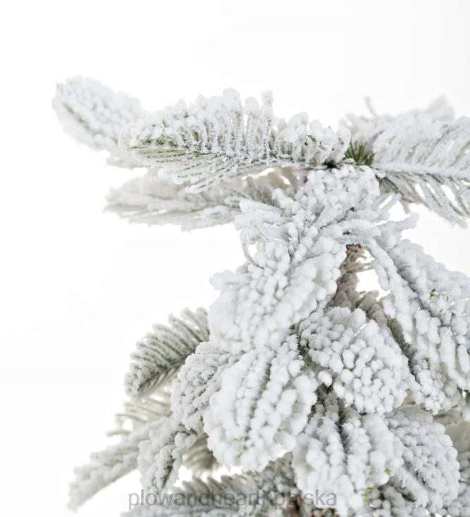 Plow & Hearth 18-calowe drzewko stołowe z jodły alpejskiej h monte rosa 02XR63178 sezonowe i prezenty